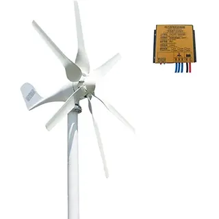 KX-ENERGIE Windkraftanlage 800W 12V 24V Mit MPPT Laderegler, 6 Blätter Horizontal Achse Windgenerator Heimgebrauch für Marine,Haushalt (12, Volt)