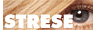 Shop Strese Shoplogo