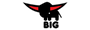 BIG Shoplogo