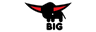 BIG Shoplogo