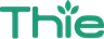 thie-electronics Logo