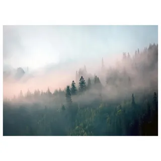 WallArena Fototapete Wald im Nebel Vliestapete Tapete 300x210