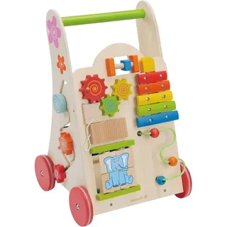EverEarth Activity Walker