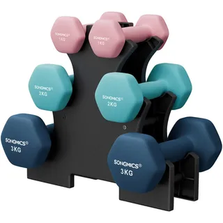 Songmics Hantel-Set Kurzhanteln 12 kg rosa / blau