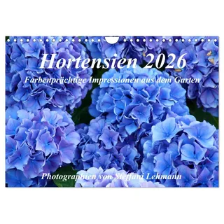 Calvendo Hortensien 2026. Farbenprächtige Impressionen aus dem Garten (Wandkalender 2026 DIN A4 quer), CALVENDO Monatskalender