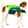 Hunde-Schwimmweste Lime Teal XL