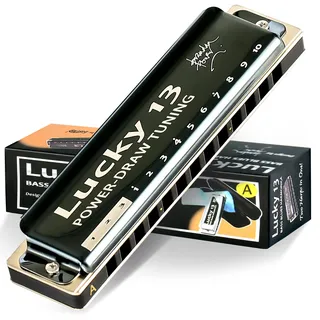 East top Lucky 13 Bass Plus Blues Harmonica 13 Holes Diatonic Harp Mouth Organ Professional Musical Instruments PowerDraw A key for Adults