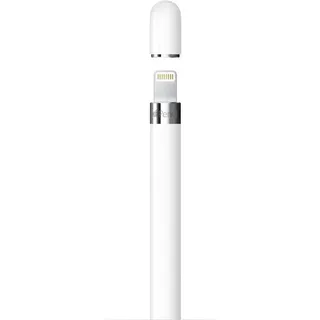 Apple Pencil 1. Generation Set inkl. USB-C Adapter