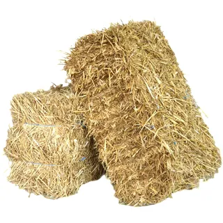 agrar-store 10Kg Stroh Strohballen Gerstenstroh direkt ab Hof Einstreu Meerschweinchenstroh Hasenstroh