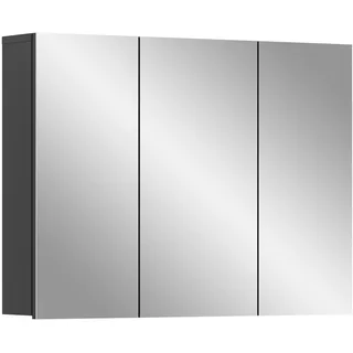 xonox.home Spiegelschrank 80 cm x 60 cm x 15 cm Grau