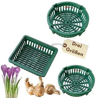 GarPet Pflanzkörbe für Blumenzwiebeln Pflanzkorb Blumenzwiebeln Pflanzkörbe für Tulpen Zwiebelpflanzschale Herbstpflanzung Blumenzwiebelschale (ø 22 cm)