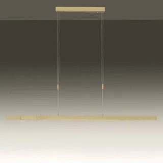 Paul Neuhaus Adriana messing matt