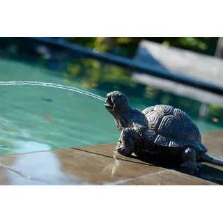 UBBINK Wasserspeier Schildkröte 21 cm Beige