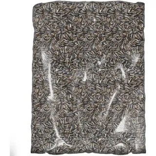 SQUAWK Gestreifte Sonnenblumenkerne - Premium große Kerne für Wildvögel - Ideal für Futterstellen und die Ernährung von Vögeln im Freien.