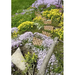 DOLLE Hangstufe 25 x 36,5 cm Stahl