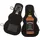 Guitar Case Edition Tennessee 40% vol 0,7 l Geschenkbox