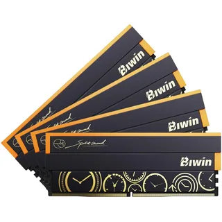 BIWIN Black Opal DW100 DDR5 RGB RAM 192GB (48GB*4) bis zu 6000MHz CL28 Computer Memory, Arbeitsspeicher für AMD Expo Platteform - Schwarz