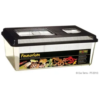 Exo Terra Faunarium Flach/Groß 46 x 30 x 17cm