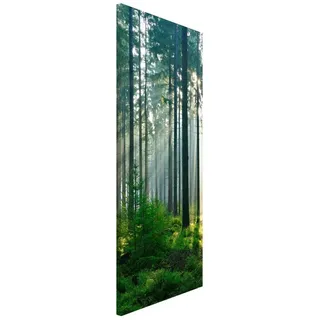 Bilderdepot24 Magnettafel Küche grün Enlightened Forest, (1-tlg., Magnetboard Pinnwand für die Wand - metallische Tafel für Magnete), Magnetwand groß mit Motiv Büro Memoboard magnetisch Hochformat grün 37 cm x 78 cm