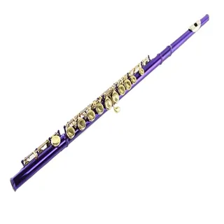 Professionelle Querflöte Flöte 16-Loch Geschlossenes Loch C-Stimmung Flöte B-Schwanz E-Tonart Lila Lack Gold-Tonart Flöte