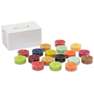 Partylite MiniScents Season Fall, 18 Stück