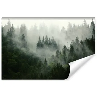 Muralo Fototapete WALD IM NEBEL Wandtapeten Bäume Grün Natur Wohnzimmer Schlafzimmer Esszimmer Moderne Wandbilder XXL Landschaft Panorama Wand Dekoration (VLIES, Br. 225 cm x Hö. 150 cm)