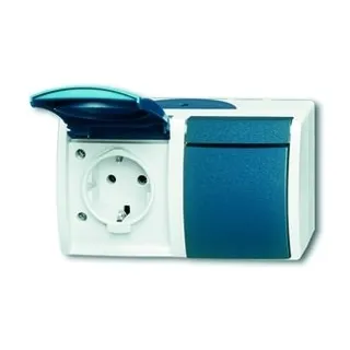 Busch-Jaeger 20/2 EW-53 2-fach