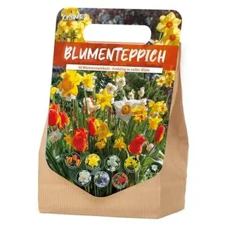 Florex Blumenzwiebel Blumenteppich 'Kashmir', 50 Stk.