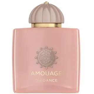 Amouage Odyssey Guidance Eau de Parfum 100 ml
