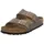 schmal gold 41