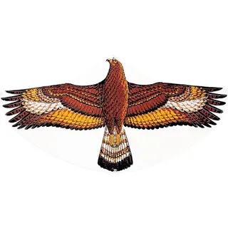 Günther Steinadler Drachen