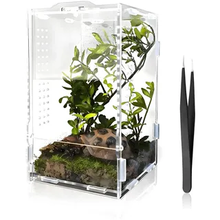 Faunarium, Acryl Terrarium Spinne Insektenterrarium Aufzuchtbox Allzweckbehälter mit Futterpinzette für Reptilien Sprungspinnen Amphibien Frösche Insekten Vogelspinnen 20 x 12 x 11 cm