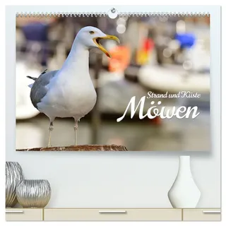 Strand und Küste - Möwen (hochwertiger Premium Wandkalender 2026 DIN A2 quer), Kunstdruck in Hochglanz: Herrliche Aufnahmen heimischer Seevögel, ... Rerik und Warnemünde. (CALVENDO Natur)