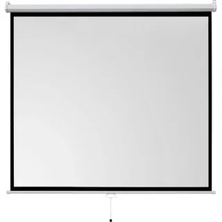Celexon basic line Rolloleinwand (schwarze Rückseite) weiß