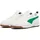 Warm White/Archive Green/Navy/Gold/Pristine 41
