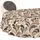 abwaschbar 160 Beige