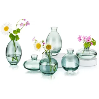 Hewory Kleine Vasen für Tischdeko, 6 Stück Vase Glas Mini Vasen Set Modern Glasvase Grün Kleine Blumenvasen Für Hochzeitsdeko Tisch Wohnzimmer Deko