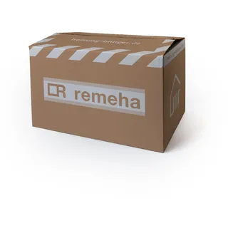 Remeha Pumpe A Klasse S100703