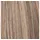 bernstein rooted