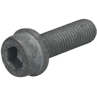 FEBI Schraube, Bremssattel