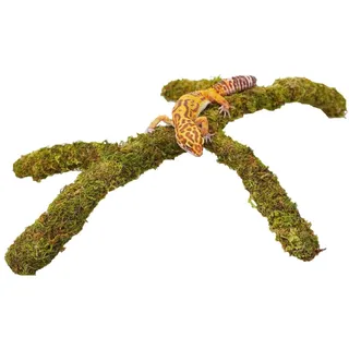 Jinymral Leopard Gecko Terrarium Zubehör, verstellbares Kletterspielzeug Zubehör, Terrarium Habitat Dekoration