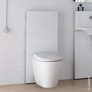 Geberit Monolith Sanitärmodul für Stand-WC, 114cm, Glas weiß, Bauhöhe 114 cm,