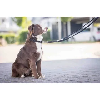 Wolters Hundeleine Professional Comfort schwarz/schwarz