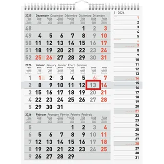 Rido rido/idé 7033330006 3-Monatskalender 2026 grau, 300×390 mm