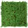 52 x 52 cm thuja tea tree