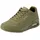 Olive 42,5