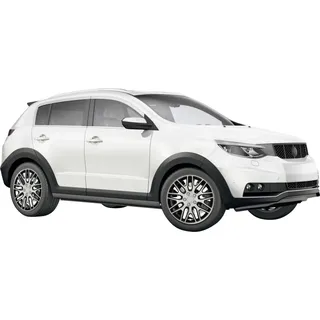 CARTREND Branch 14 Zoll 4 Stück Schwarz/Silber