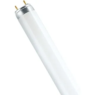 Osram Lumilux T8 L 36W/840 G13