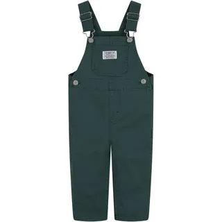 Levi's Levi ́s ® Kids Carpenter Latzhose - Bistro Green - 12 Monate