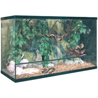 ICA trs180 Terrarium repti-Selva Glas